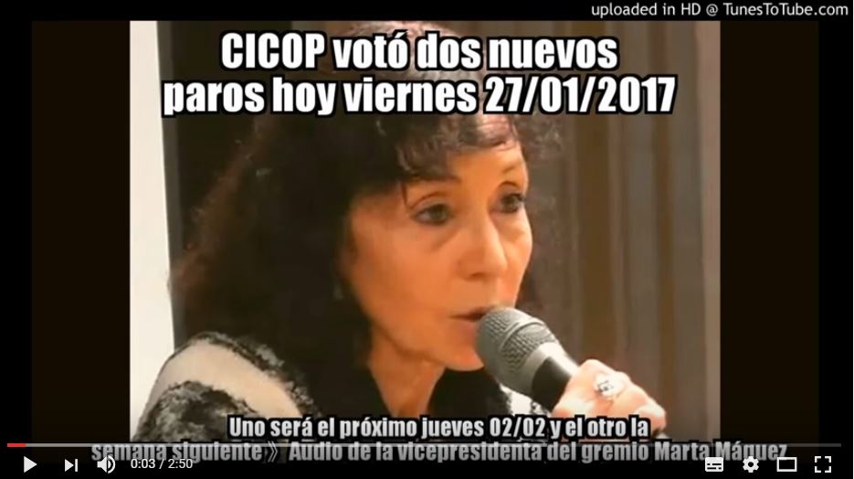 27/01 》CICOP (10 mil profesionales) votó dos nuevos paros a Vidal 》Jueves 02/02 y semana siguiente
