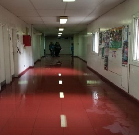 SECCIONALES PROVINCIALES