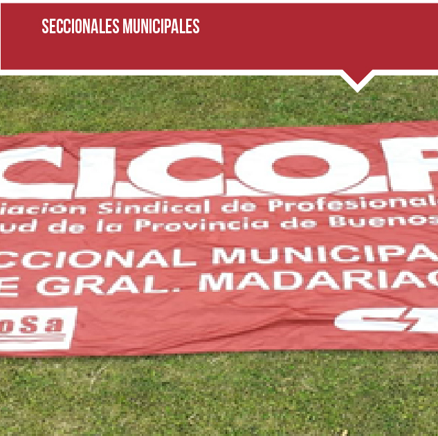 SECCIONALES MUNICIPALES