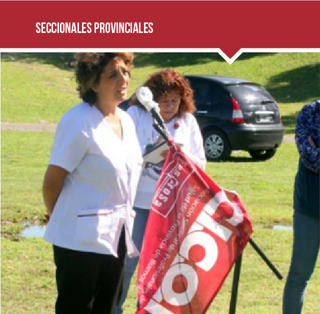 SECCIONALES PROVINCIALES
