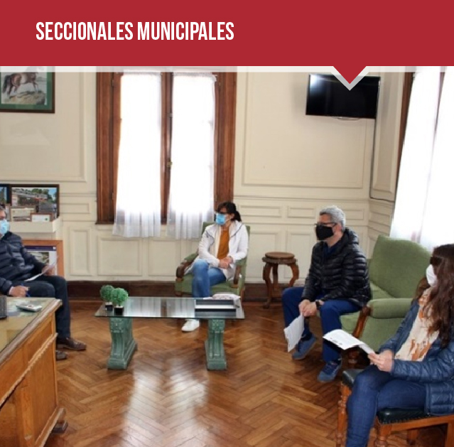 SECCIONALES MUNICIPALES