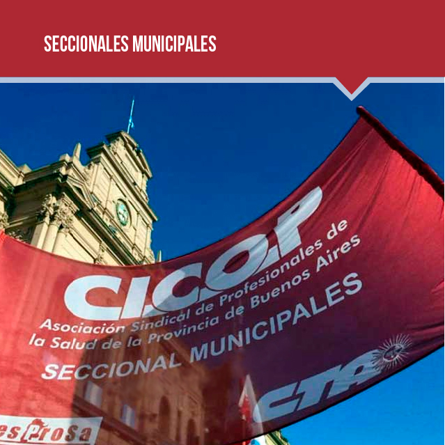 SECCIONALES MUNICIPALES