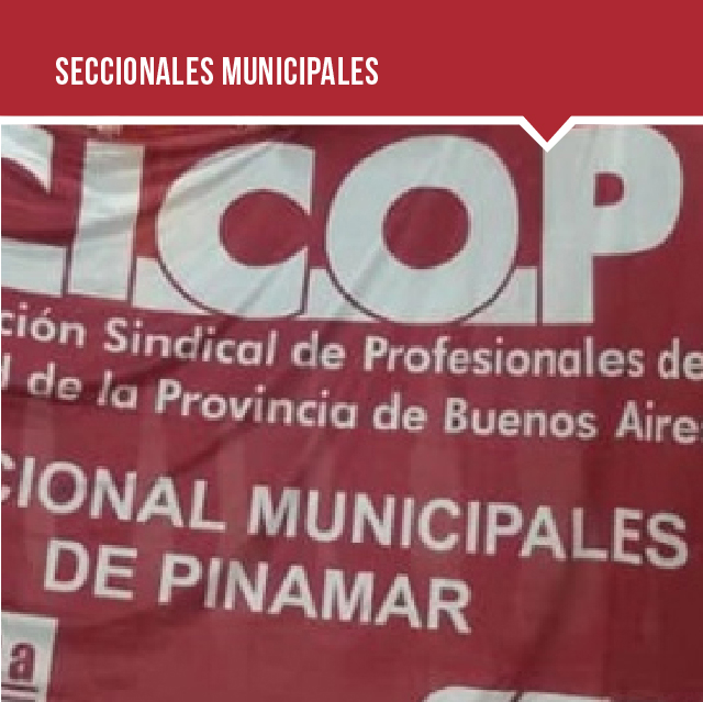 SECCIONALES MUNICIPALES