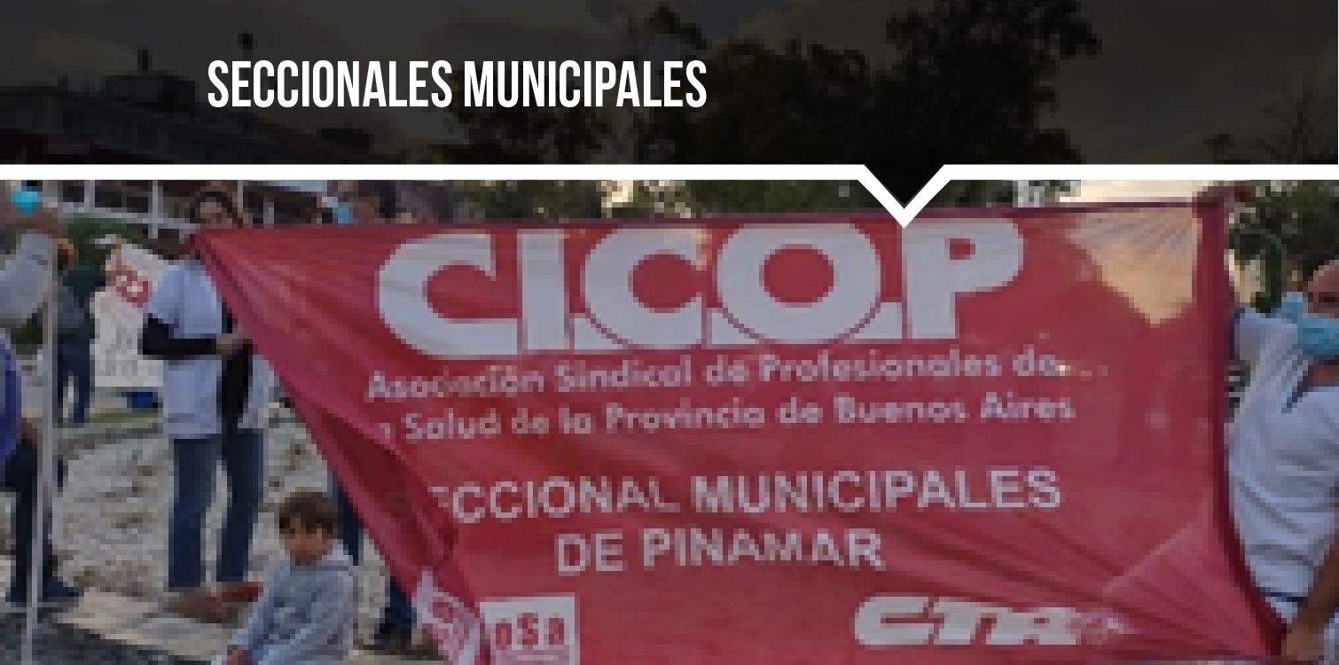 SECCIONALES MUNICIPALES