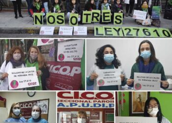 Campaña por la nulidad de la causa de Miranda Ruiz