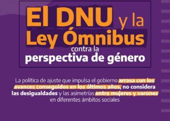 El DNU y la Ley Ómnibus contra la perspectiva de género