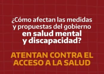 Salud Mental y Ley Ómnibus  | 19.01.24