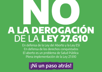 No a la derogación de la Ley 27.610 