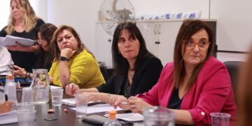 Reunión de la Comisión Mixta de Salud y Seguridad en el Empleo Público