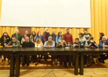 Gremios y múltiples organizaciones movilizaremos al Congreso cuando el Senado trate la Ley Bases