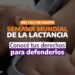 Semana Mundial de la Lactancia 2024 | 06.08.24